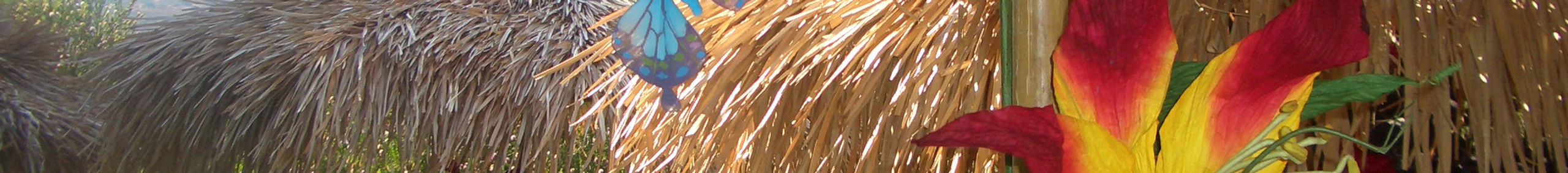 Hawaiian Catering Los Angeles & Las Vegas — West LA Luaus